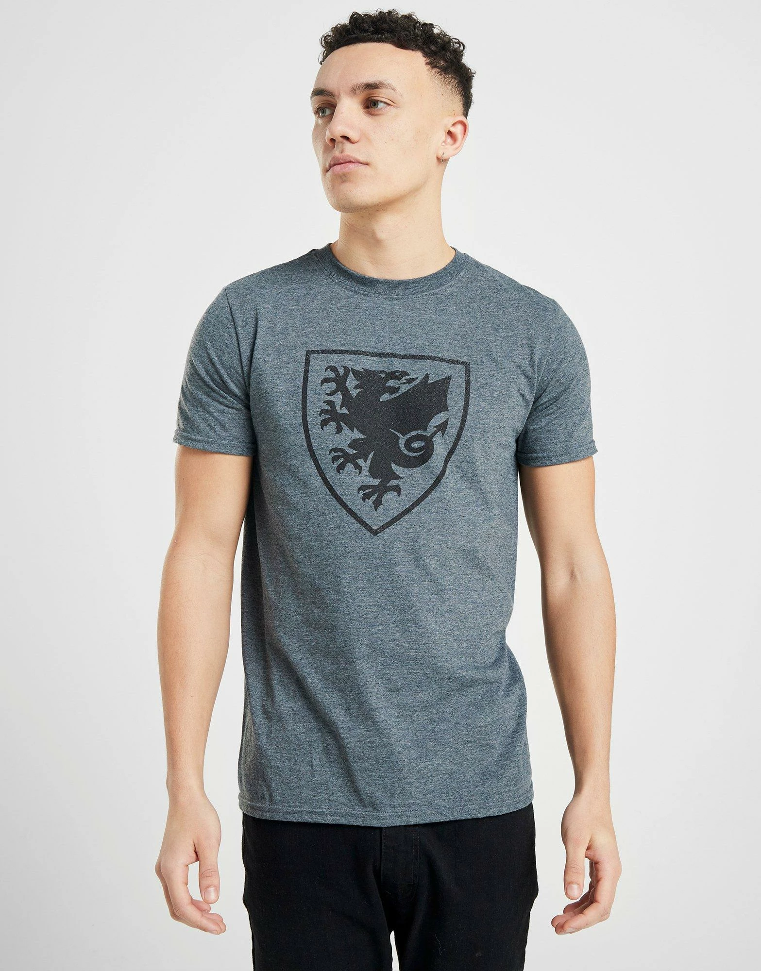 Official Team Wales Crest Kortærmet T-shirt Herre Grå 3 Official Team Wales Crest Kortærmet T-shirt Herre Grå