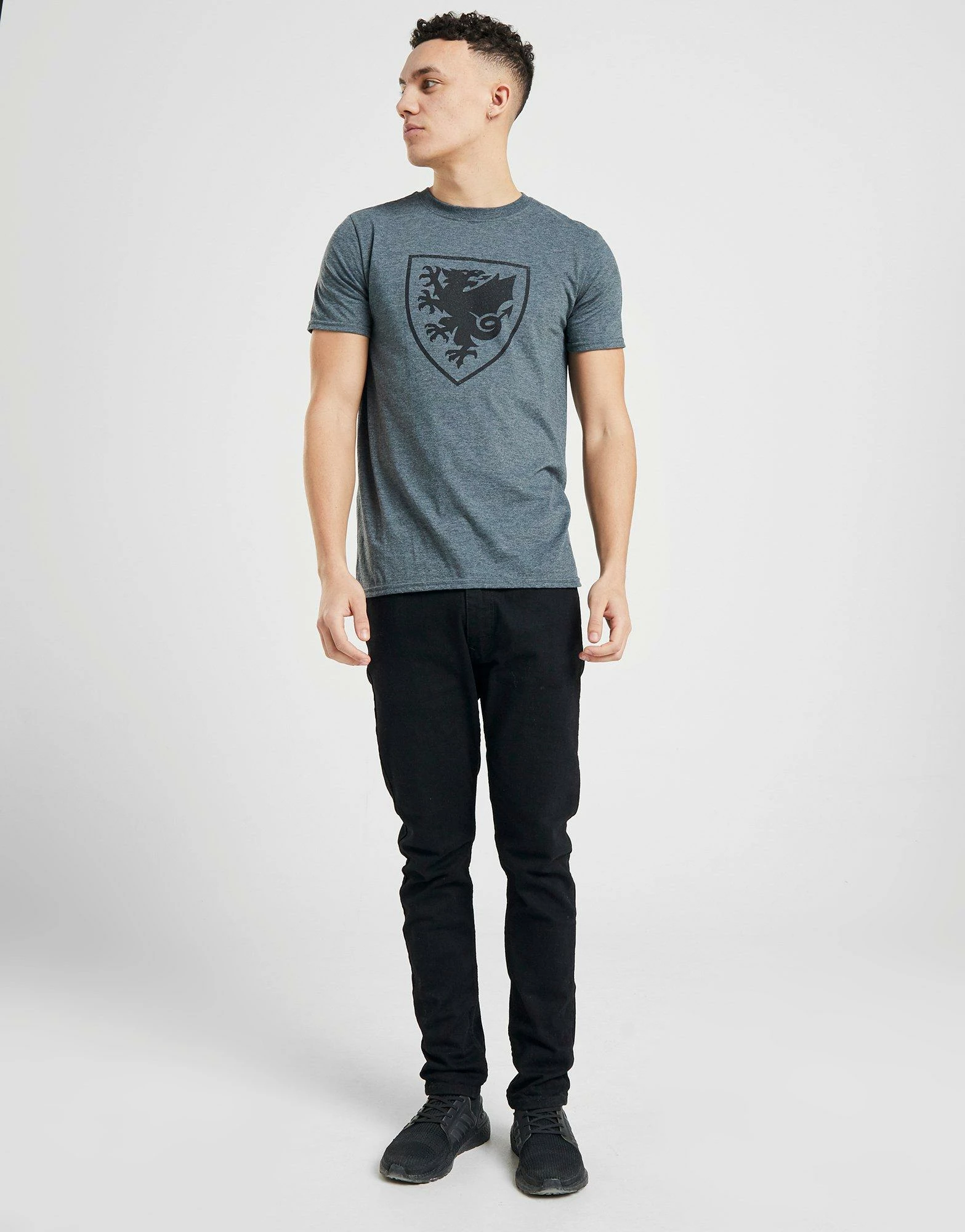 Official Team Wales Crest Kortærmet T-shirt Herre Grå 5 Official Team Wales Crest Kortærmet T-shirt Herre Grå - Billede 3