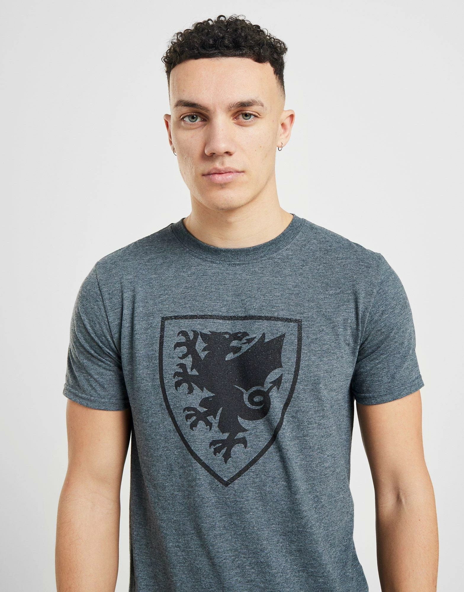 Official Team Wales Crest Kortærmet T-shirt Herre Grå 6 Official Team Wales Crest Kortærmet T-shirt Herre Grå - Billede 4