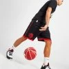 Jordan NBA Toronto Raptors Swingman Shorts Sort