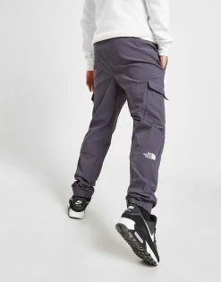 The North Face Trishul Cargo Track Pants Grå -Herretoj Salg jd 549249 c