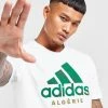 Adidas Algeria DNA Graphic T-Shirt Hvid