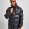 Gym King Impact Shine Jacket Sort -Herretoj Salg jd 599137 a